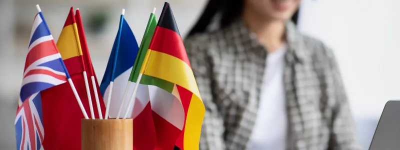 tesi in lingua